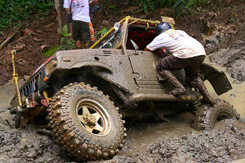 Rainforest Challenge 2010