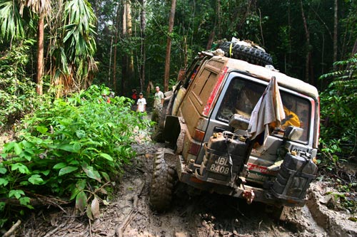 Rainforest Challenge 2010