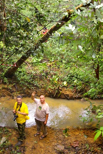 Rainforest Challenge Malaysia 2011
